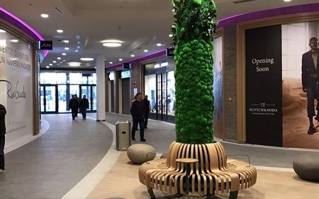 How can plants in your store or showroom influence your customers' buying behavior?