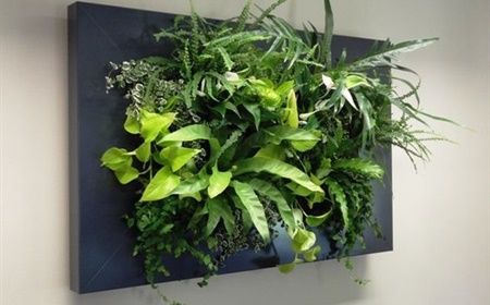 Green wall in the office: all the benefits at a glance
