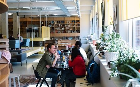 Which office plants fit your business?
