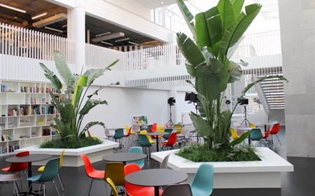 Which colors are best in the office and increase productivity?
